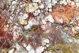 Polished Wild Horse Magnesite Slab - Arizona #146450-1